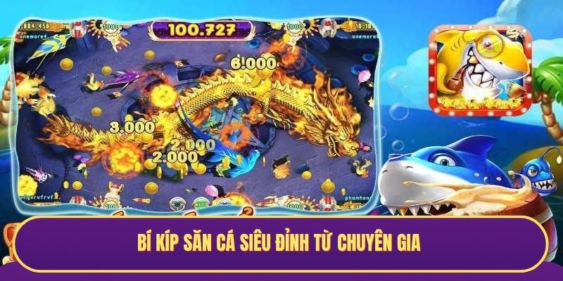 Bí kíp săn cá siêu đỉnh từ chuyên gia