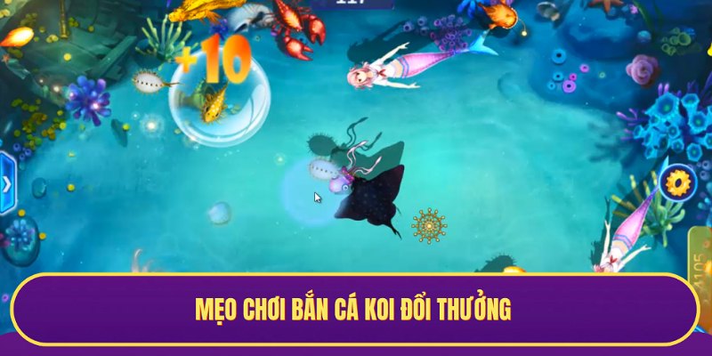Mẹo hay giúp bạn chơi bắn cá koi đổi thưởng hiệu quả hơn