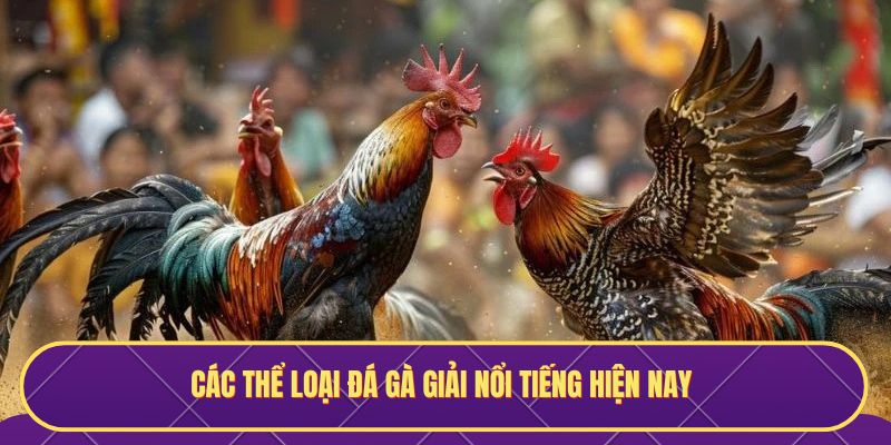 Các thể loại đá gà giải nổi tiếng hiện nay