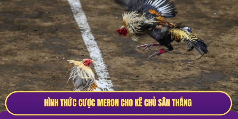 Hình thức cược Meron cho kê chủ sân thắng