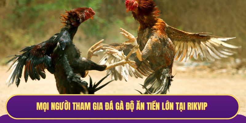 Mọi người tham gia đá gà độ ăn tiền lớn tại RIKVIP