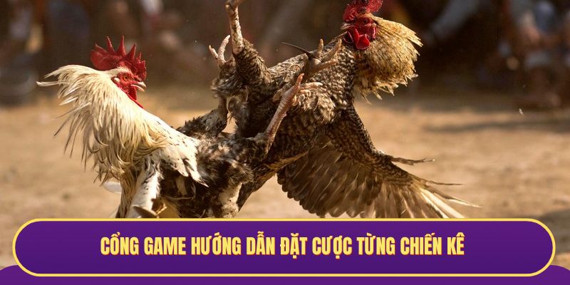 Cổng game hướng dẫn đặt cược từng chiến kê