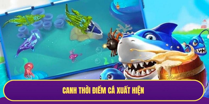 Canh thời điểm ra cá để có thể nhận được nhiều tiền thưởng hơn