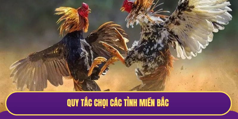 Quy tắc chọi các tỉnh miền Bắc