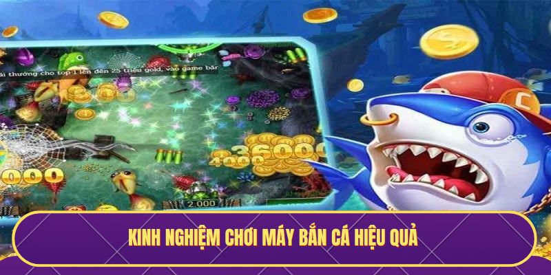 Kinh nghiệm chơi máy bắn cá chuẩn nhất